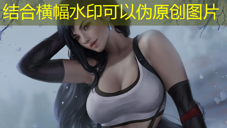 乒乓球台上的用品是什么
