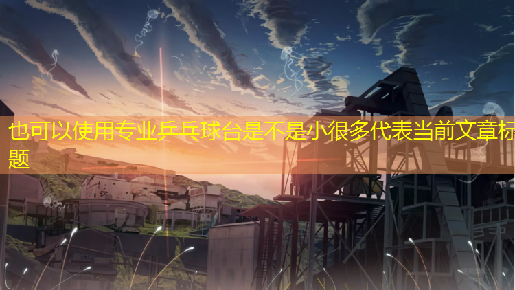 专业乒乓球台是不是小很多
