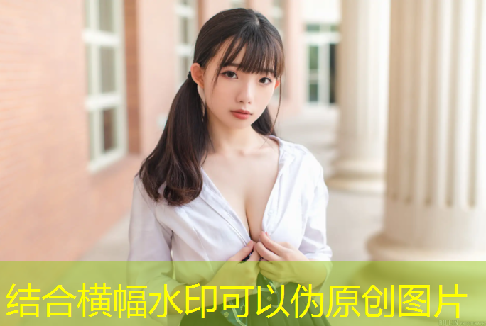 室内健身增强核心力量