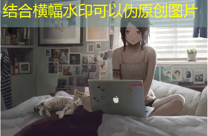 室内健身房手机支架