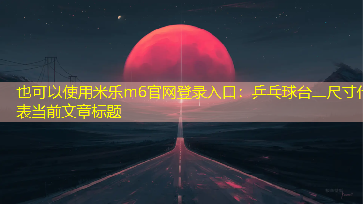 乒乓球台二尺寸